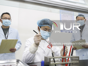 College students are taking part in a microbiology test competition in Huai'an, China, on March 2, 2024. (