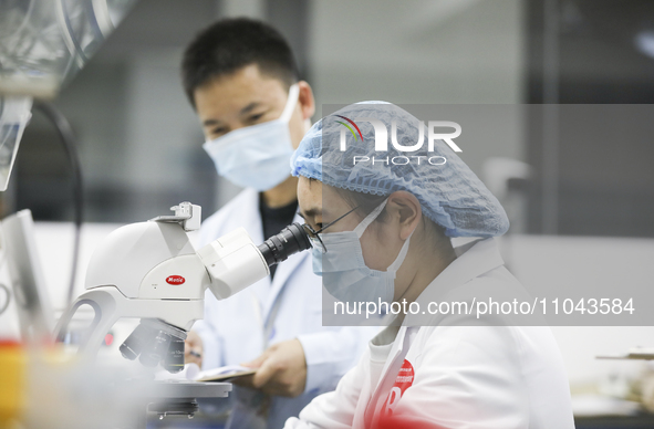 College students are participating in a basic clinical examination competition in Huai'an, Jiangsu Province, China, on March 2, 2024. 