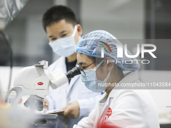 College students are participating in a basic clinical examination competition in Huai'an, Jiangsu Province, China, on March 2, 2024. (