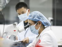 College students are participating in a basic clinical examination competition in Huai'an, Jiangsu Province, China, on March 2, 2024. (