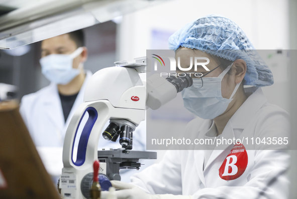 College students are participating in a basic clinical examination competition in Huai'an, Jiangsu Province, China, on March 2, 2024. 