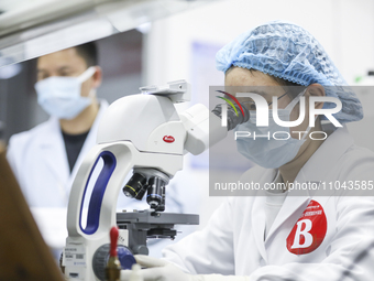 College students are participating in a basic clinical examination competition in Huai'an, Jiangsu Province, China, on March 2, 2024. (