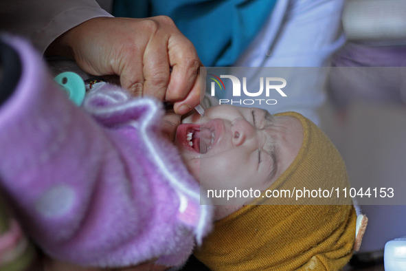 A health worker is administering polio vaccine drops to a child in Srinagar, Kashmir, India, on March 3, 2024. A three-day pulse polio vacci...