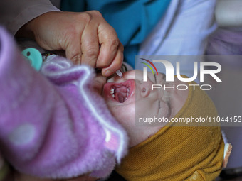 A health worker is administering polio vaccine drops to a child in Srinagar, Kashmir, India, on March 3, 2024. A three-day pulse polio vacci...