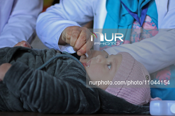 A health worker is administering polio vaccine drops to a child in Srinagar, Kashmir, India, on March 3, 2024. A three-day pulse polio vacci...