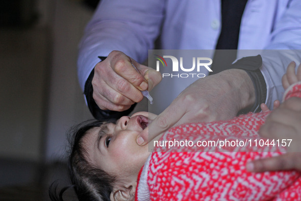 A health worker is administering polio vaccine drops to a child in Srinagar, Kashmir, India, on March 3, 2024. A three-day pulse polio vacci...