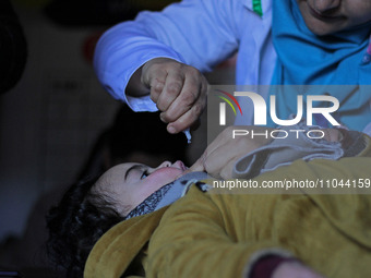 A health worker is administering polio vaccine drops to a child in Srinagar, Kashmir, India, on March 3, 2024. A three-day pulse polio vacci...