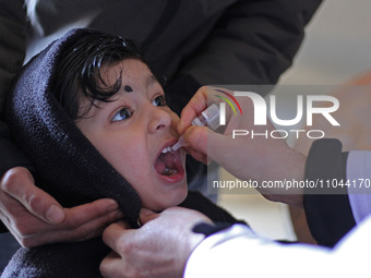 A health worker is administering polio vaccine drops to a child in Srinagar, Kashmir, India, on March 3, 2024. A three-day pulse polio vacci...