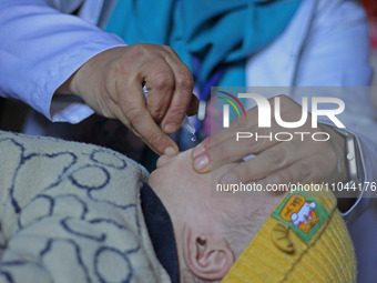 A health worker is administering polio vaccine drops to a child in Srinagar, Kashmir, India, on March 3, 2024. A three-day pulse polio vacci...