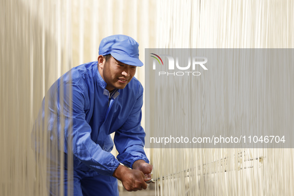 A worker is processing hollow hanging noodles at a workshop in Suqian, Jiangsu Province, China, on March 3, 2024. 