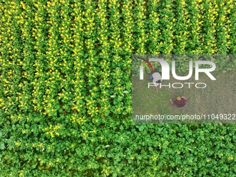 Villagers are working in a field in Shengli Village, Zhongtang Town, Qianjiang District, in Chongqing, China, on March 4, 2024. (