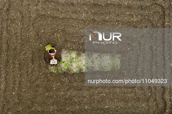 A villager is using a micro-cultivator to sort the land in Shengli Village, Zhongtang Town, Qianjiang District, in Chongqing, China, on Marc...