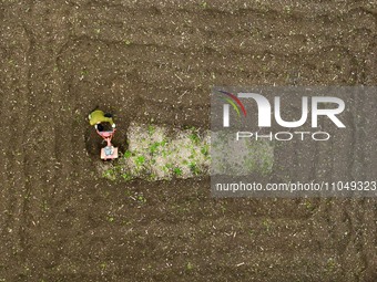 A villager is using a micro-cultivator to sort the land in Shengli Village, Zhongtang Town, Qianjiang District, in Chongqing, China, on Marc...