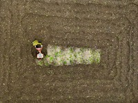 A villager is using a micro-cultivator to sort the land in Shengli Village, Zhongtang Town, Qianjiang District, in Chongqing, China, on Marc...