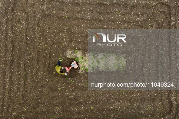 A villager is using a micro-cultivator to sort the land in Shengli Village, Zhongtang Town, Qianjiang District, in Chongqing, China, on Marc...