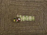 A villager is using a micro-cultivator to sort the land in Shengli Village, Zhongtang Town, Qianjiang District, in Chongqing, China, on Marc...