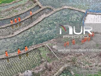 Female volunteer members are walking on the road for forest protection in Jinpin, China, on March 5, 2024. (