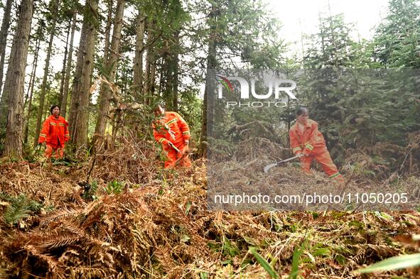 Female volunteer members are patrolling the forest in the mountains in Jinpin County, Guizhou, China, on March 5, 2024. 