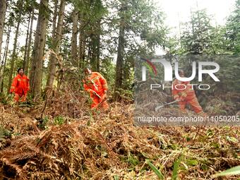 Female volunteer members are patrolling the forest in the mountains in Jinpin County, Guizhou, China, on March 5, 2024. (