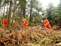 Female volunteer members are patrolling the forest in the mountains in Jinpin County, Guizhou, China, on March 5, 2024. (