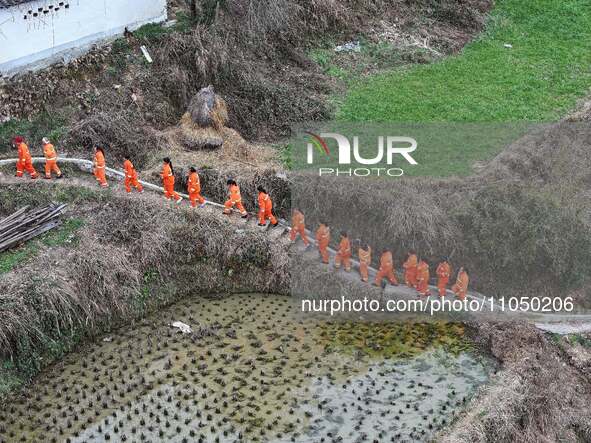 Female volunteer members are walking on the road for forest protection in Jinpin, China, on March 5, 2024. 