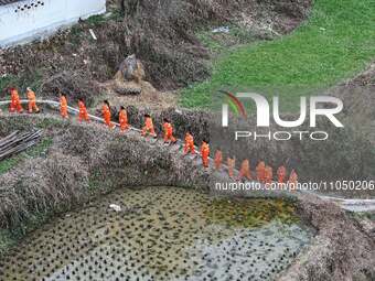 Female volunteer members are walking on the road for forest protection in Jinpin, China, on March 5, 2024. (