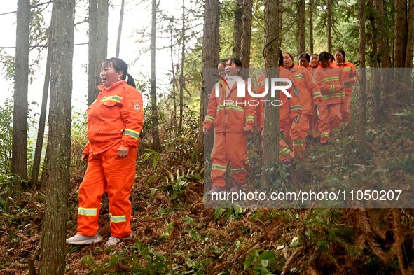 Female volunteer members are patrolling the forest in the mountains in Jinpin County, Guizhou, China, on March 5, 2024. 