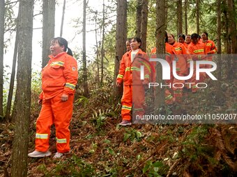 Female volunteer members are patrolling the forest in the mountains in Jinpin County, Guizhou, China, on March 5, 2024. (