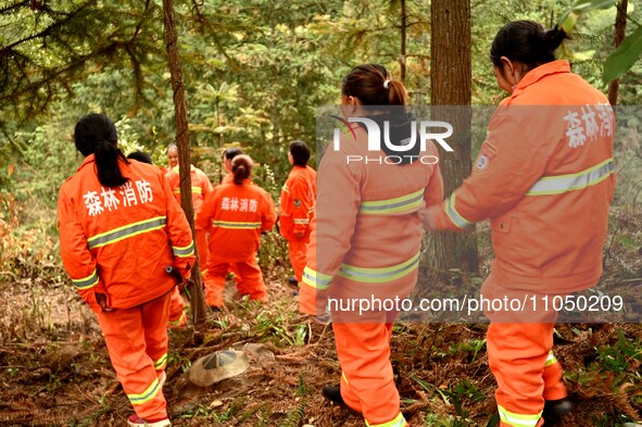 Female volunteer members are patrolling the forest in the mountains in Jinpin County, Guizhou, China, on March 5, 2024. 