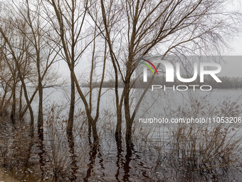 In Kyiv, Ukraine, on March 6, 2024, the area in Natalka Park is flooding due to increased water discharges from the Kyiv Reservoir, followin...