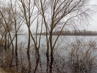 In Kyiv, Ukraine, on March 6, 2024, the area in Natalka Park is flooding due to increased water discharges from the Kyiv Reservoir, followin...