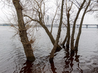 In Kyiv, Ukraine, on March 6, 2024, the area in Natalka Park is flooding due to increased water discharges from the Kyiv Reservoir, followin...