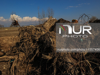 Thousands of trees are being uprooted on the Srinagar-Baramulla Highway as part of a road widening project in Jammu and Kashmir, India, on M...