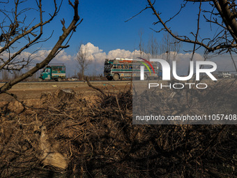 Thousands of trees are being uprooted on the Srinagar-Baramulla Highway as part of a road widening project in Jammu and Kashmir, India, on M...