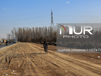 Thousands of trees are being uprooted on the Srinagar-Baramulla Highway as part of a road widening project in Jammu and Kashmir, India, on M...