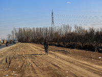 Thousands of trees are being uprooted on the Srinagar-Baramulla Highway as part of a road widening project in Jammu and Kashmir, India, on M...