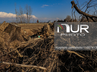 Thousands of trees are being uprooted on the Srinagar-Baramulla Highway as part of a road widening project in Jammu and Kashmir, India, on M...