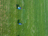 Farmers are spraying herbicides on wheat in Suqian, Jiangsu Province, China, on March 9, 2024. (