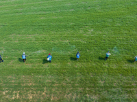 Farmers are spraying herbicides on wheat in Suqian, Jiangsu Province, China, on March 9, 2024. (