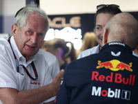 Helmut Marko before the Formula 1 Saudi Arabian Grand Prix at Jeddah Corniche Circuit in Jeddah, Saudi Arabia on March 9, 2024. (