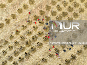 Volunteers are taking part in a tree planting activity in Lianyungang, China, on March 11, 2024. (