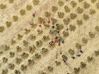 Volunteers are taking part in a tree planting activity in Lianyungang, China, on March 11, 2024. (