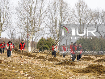 Volunteers are taking part in a tree planting activity in Lianyungang, China, on March 11, 2024. (