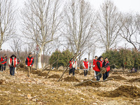 Volunteers are taking part in a tree planting activity in Lianyungang, China, on March 11, 2024. (