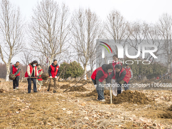 Volunteers are taking part in a tree planting activity in Lianyungang, China, on March 11, 2024. (