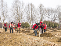 Volunteers are taking part in a tree planting activity in Lianyungang, China, on March 11, 2024. (