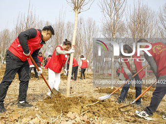 Volunteers are taking part in a tree planting activity in Lianyungang, China, on March 11, 2024. (