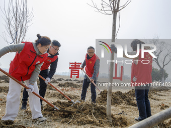 Volunteers are taking part in a tree planting activity in Lianyungang, China, on March 11, 2024. (