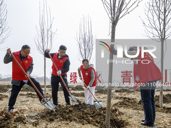 Volunteers are taking part in a tree planting activity in Lianyungang, China, on March 11, 2024. (