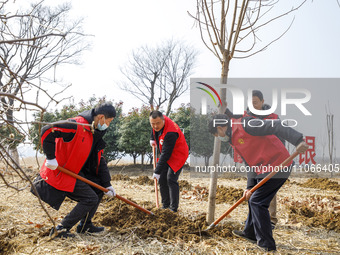 Volunteers are taking part in a tree planting activity in Lianyungang, China, on March 11, 2024. (